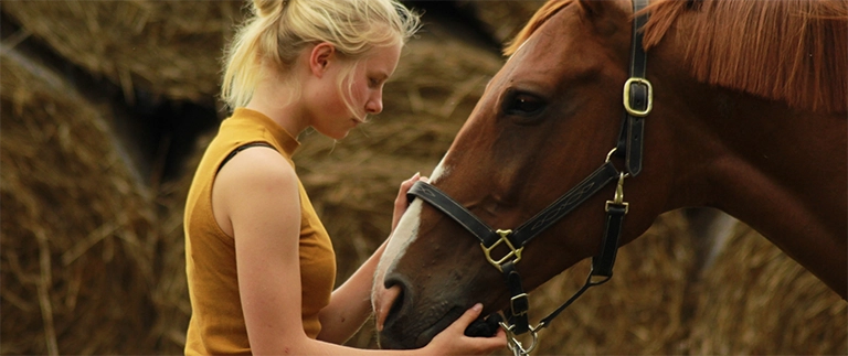 sesja zdjęciowa z koniem